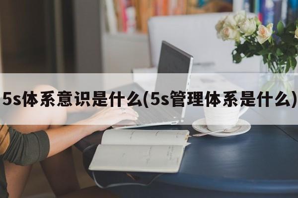 5s体系意识是什么(5s管理体系是什么)